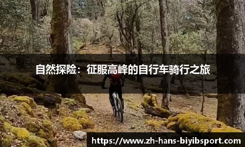 必一运动b体育平台